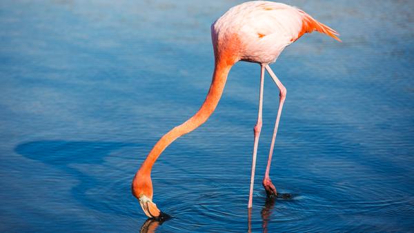 One of the smaller Galápagos Islands is a nature-lover's paradise — but it also has a few dark secrets